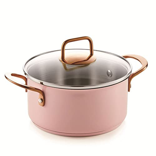 Olla común, Olla de Vapor Comercial de Pescado de una Sola Cubierta de Acero Inoxidable en cazuela Rosa