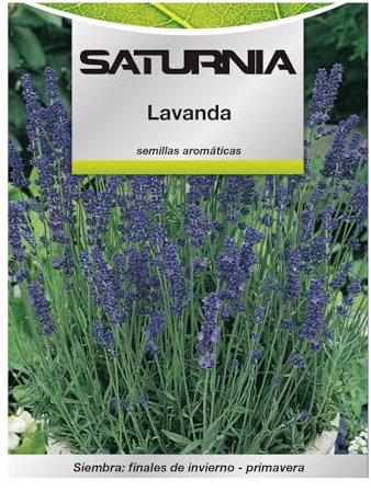 Semillas Aromaticas Lavanda (0.5 gramos) Horticultura, Horticola, Semillas Huerto.