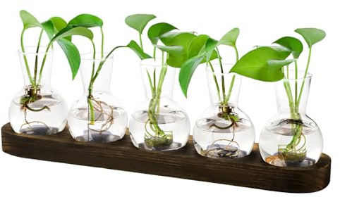 Estaciones de Propagación de Plantas con Soporte de Madera, Florero Vintage Jarrones Pequeños para Decoración de Mesa para Planta Florero de Bulbos para el Hogar Oficina Jardín