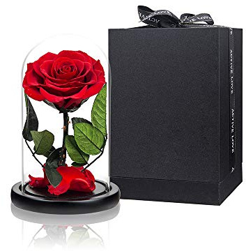 Preserved Roses Red Roses in Glass Dome, Medium, Preserved Flowers for Women