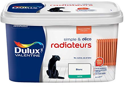 Peinture Radiateurs Blanc