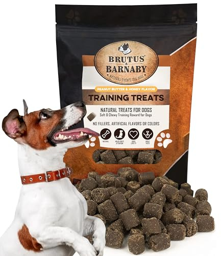 BRUTUS & BARNABY Training Treats for Dogs - Peanut Butter & Honey - All-Natural Healthy Low Calorie Vegetarian Treat - Great to Use for Rewards in Training Your Puppy Or Dog