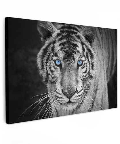 MuchoWow© Cuadros para Salon 90x60 cm Foto con Lienzo Canvas Laminas Cuadro Dormitorio Decoracion Hogar Pared Quadro Tigre - Animal - Negro - Azul - Moderno