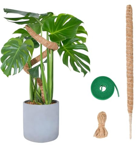 SGERUFZ 1 Pcs Tuteur de Plante Grimpante en Coco sur Piquet 70cm Support de 7mm de Largeur Pliable Idéal pour Jardin Domestique