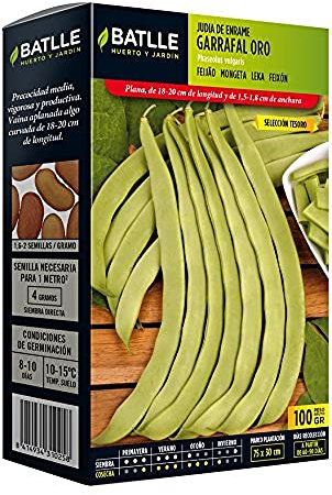 Semences horticoles de Batlle - Haricot nain Garrafal Oro sel. Tesoro (100g)