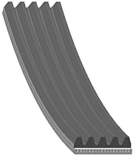 FEBI BILSTEIN 45249 Cinghia servizi