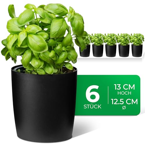 Novaliv Stilvolle 6er Set Kräutertopf aus Kunststoff Schwarz für Jede Fensterbank, frische Küchenkräuter, Kräutergarten für die küche, Kräuterbeet Indoor, Zimmerpflanzen, Pflanzentopf, Pflanzschale