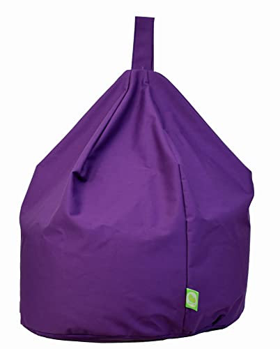 Child Size Bean Bag With Beans Purple