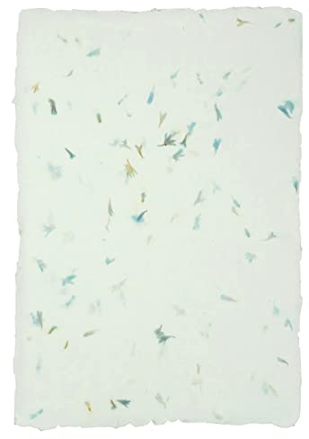 Netuno 5 fogli carta fatta a mano fiordaliso formato A4 ca. 20,5 x 29 cm carta naturale artigianale decorativa florale con petali di fiori Vintage per inviti partecipazioni biglietti cartoline