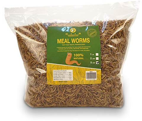 DIIG Non-GMO Dried Mealworms/Crickets/Black Soldier Fly - Treats for Birds Chickens Hedgehog Hamster Fish Reptile Turtles (5 lb, Mealworms)