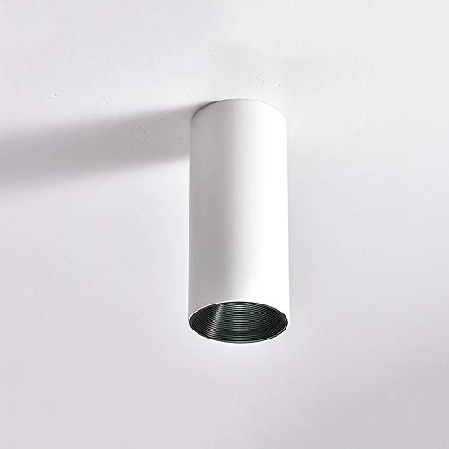 10W Cylinder Downlight Creative Ceiling Spotlight With Gold Inner,Surface Mount Energy Save Lamps Picture Display Accent Lamp Wash Wall Lighting for Foyer/Balcony/Corridor/Be ( Color : White+black , S