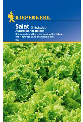 Kiepenkerl 339 Pflücksalat Australischer gelber (Pflücksalatsamen)