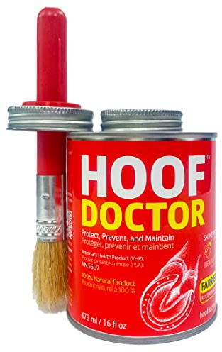 Hoof Doctor - White Line | Thrush | Abscesses | Quarter Crack | Seedy Toe | Corns and Sole Bruises - 100% All-Natural Hoof Care Product - Birch Bark Extract, Betulin, Omega-3 with Vits A & D (16 Oz)