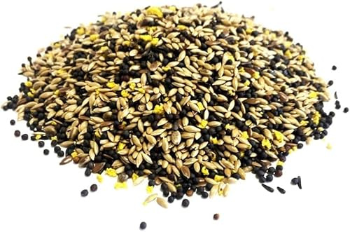 500g Mixed Canary Seed Cage & Aviary Bird Food SJJ