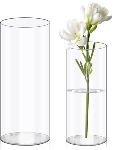 Olrla 2 Piece Set Transparent Acrylic Flower Vase 25x12cm and 20x10cm, Shatter-Proof Plastic Cylinder Vase for Flower Arrangement, Wedding Centerpieces, DIY