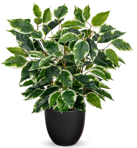Hollyone Künstliche Pflanzen Wie Echt Ficus 40cm Künstliche Ficus Pflanzen im Topf Grünpflanze Deko Zimmerpflanze für Fensterbank Wohnzimmer Badezimmer Tischdekoration, Hellgrün