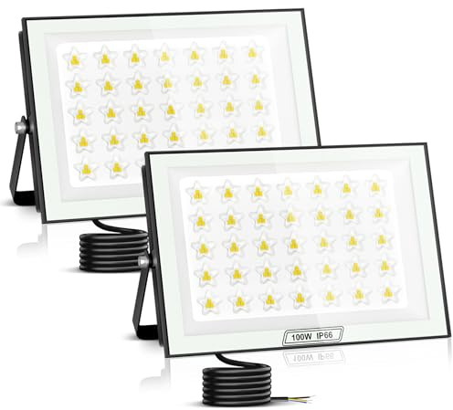 papasbox 2 Stück 100W LED Strahler Außen | Scheinwerfer 6500K Kaltweiß 10000LM Außenstrahler IP66 Wasserdicht Fluter für den Außenbereich Garten Garage Hof
