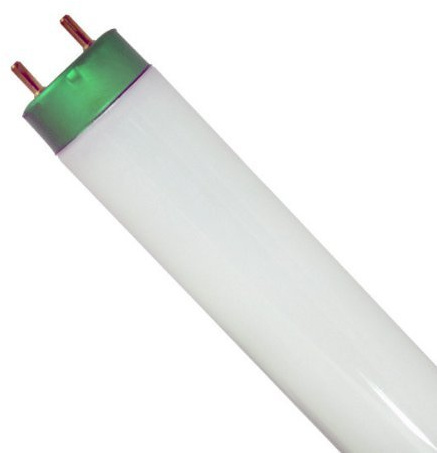 Philips 479634 - F32T8/TL950/ALTO 32 Watt - T8-36,000 Hours - 2600 Lumens - 5000K Full Spectrum - 900 Series Phosphors - Case of 30