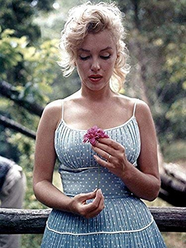 Buyartforless sällsynt fotografi av Marilyn Monroe med blomma 12 x 16 konsttryck affisch tillverkad i USA