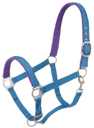 Tough1 Padded Yearling Halter with Satin Hardware - Turquoise