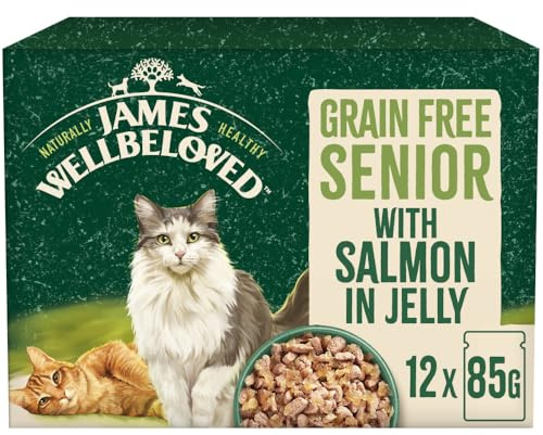 James Wellbeloved Grain Free Adult Cat Food with Salmon in Jelly Pouch 12 x 85g