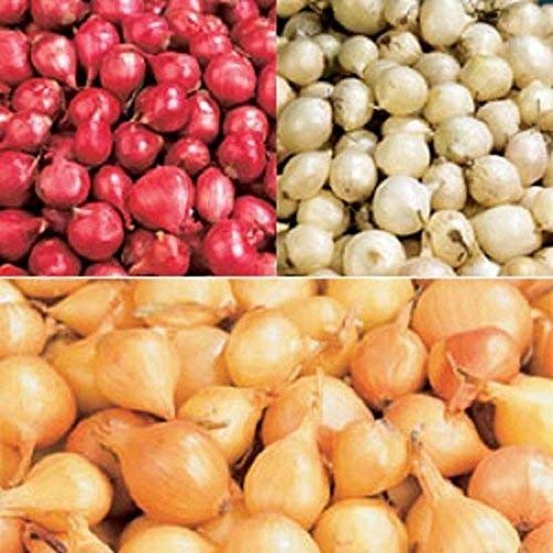 Mix, Red,Yellow,White,Onion Sets, (40 Bulbs) Garden Vegetable