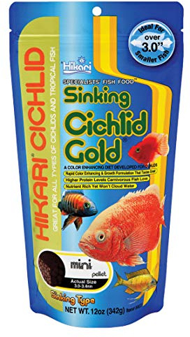 Hikari 12-Ounce Sinking Cichlid Gold Pellets for Pets, Mini
