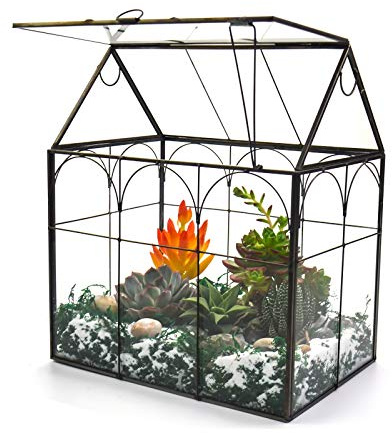 ZOOBAYA Stort högt glasväxtterrarium - dekorativt husglas terrarium med lock, inomhus skrivbord bord terrarium glasbehållare för orkidé suckulent kaktus ormbunke mossa inflyttningspresent (svart 02)