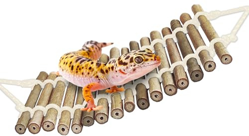 SunGrow Bamboo Gecko Reptile Climbing Bridge and Lizard Lounge, 18” Swinging Hideout Bridge, Helps Leopard Geckos with Thermoregulation, Increases Habitat Space, Can Be Submerged in Water