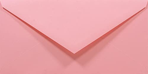 Netuno 50 Briefumschläge Pink DIN lang 110x220 mm 80g Rainbow lange Briefumschläge DL Spitzklappe Umschläge Rosa ohne Fenster Papierumschläge farbig für Einladungen Hochzeit Geburtstag Weihnachten