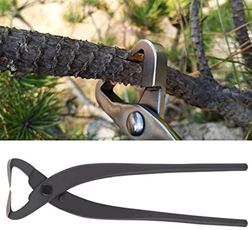 Cortador de tronco de acero de calidad Tijera para principiantes Herramientas de modelado de bonsáis Cortador de ramas cóncavas de bonsái forjado a mano, (210 mm), Herramientas de jardinería, Borde re