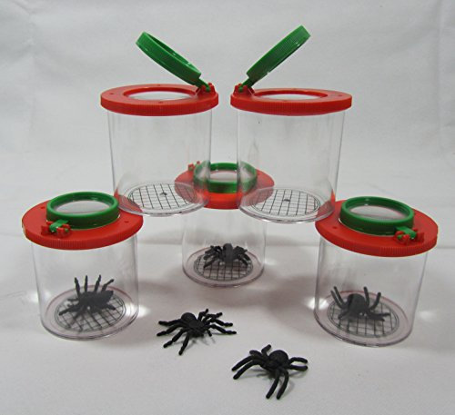 Becher Lupe Becherlupe Lupenbecher Lupendose Maxi 3 Stück