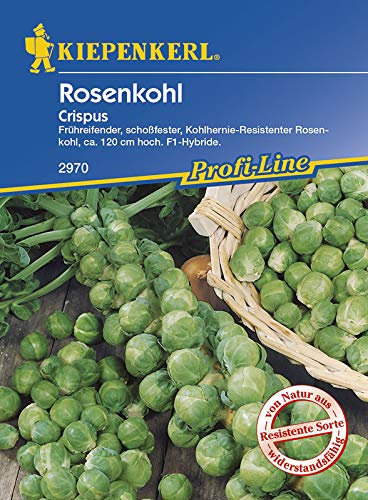 Kiepenkerl 2970 Rosenkohl Crispus (Rosenkohlsamen)
