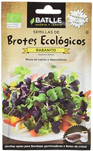 Semillas Batlle BROTES RABANITO - ECO