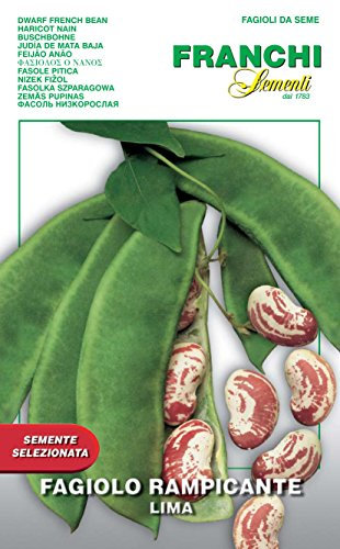 Franchi sementi semi di fagioli e fagiolini nani e rampicanti in confezioni varie (rampicante lima, 100 grammi)