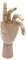 Paintersisters® Gliederhand, 25 cm Links, Holzhand beweglich, Modellhand Mannequin Handmodell Zeichenpuppe