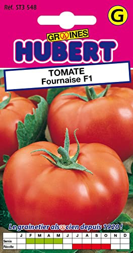 30 Graines de Tomate Fournaise F1