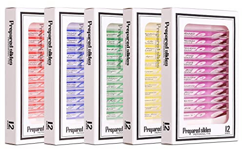 Niños Microscopio Preparado Diapositivas, Bysameyee Plástico Animales Insectos Plantas Flores Muestras de muestras para Estudiantes Educación en el hogar Biología Ciencia Programas (60 Piezas)