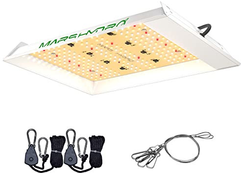 Mars Hydro TS600 Lampe de Culture Croissance 100w,lampe Horticole Led Spectre Complet Uv Ir，pour 60x60cm Chambre Tente de Culture， Pour Culture Indoor， Semis，légumes Et Fleurs