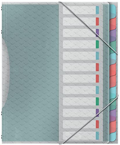 Esselte A4-Projektordner mit 12 Taben, Ordnungsmappe mit Register zur Schreibtischorganisation und Aufbewahrung von Projektunterlagen, Mit Klappen und Gummizug, Colour'Breeze Serie, Mehrfarbig, 626256