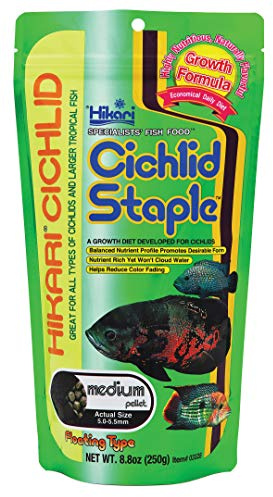 Hikari Cichlid Staple Floating Pellets, Medium, 8.8-Ounce
