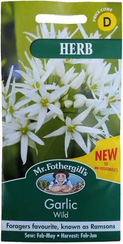 Wild Garlic Seeds Herb by Mr Fothergill's for Planting UK