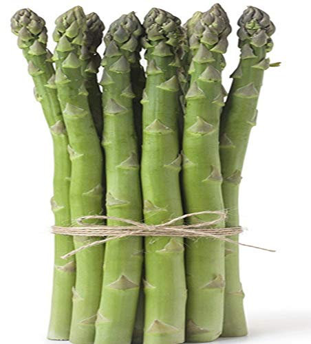 Racines d'asperges - Couronne de racines nues biologiques résistantes au froid - Légumes délicieux - Fleurs de décorations de bonsaï/Plantes en pot/Fleurs d'embellissement de jardin (6, vert)