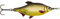 DAM Angeln Blinker - Effzett Roach Spoon 17g Rudd