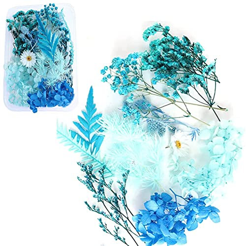 TTBDDM 1 Schachtel Natürliche Getrocknete Blumen, Gemischte Getrocknete Blumen, DIY Natürliche Getrocknet Blumen Set, zum Basteln von Lesezeichen, Bastelkarten und Scrapbooking (Blau)