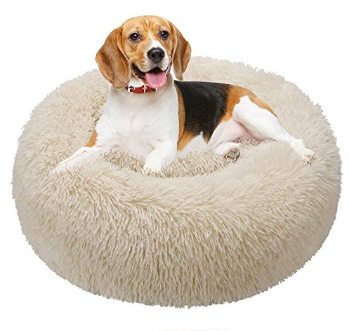 TAMOWA Panier Rond Chien Coussin Chat Panier Donut, Panier Chien Lit pour Chat Chien Extra-Doux Confortable et Mignon, Coussin pour Chats et Petits Chiens de Taille Moyenne, 60cm, Beige
