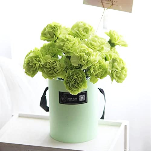 500 Stück bartnelken samen mehrjährig Nelken Nelke blumenwiese samen pflanztopf plants blumensamen geschenk nachhaltige geschenk garten geschenke für männer blumen