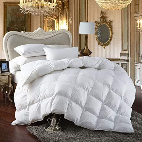 Premium All-Season Twin Size Luxury Siberian Goose Down Fiber Comforter Duvet Insert 100% Egyptian Cotton Down Feather Comforter (Twin, White Solid)