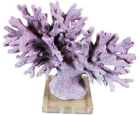 MichaelNoll Koralle auf Acrylglas Deko Statue Polyresin Maritim 20x11x16,5 cm