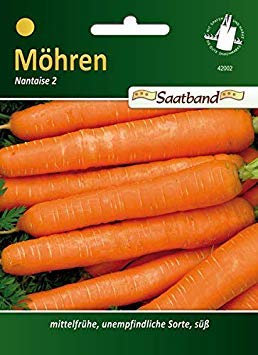 Carote ai semi di vaso 'Nantaise 2' - Daucus Carota, Bande de Semences, Carote Semi, 42002